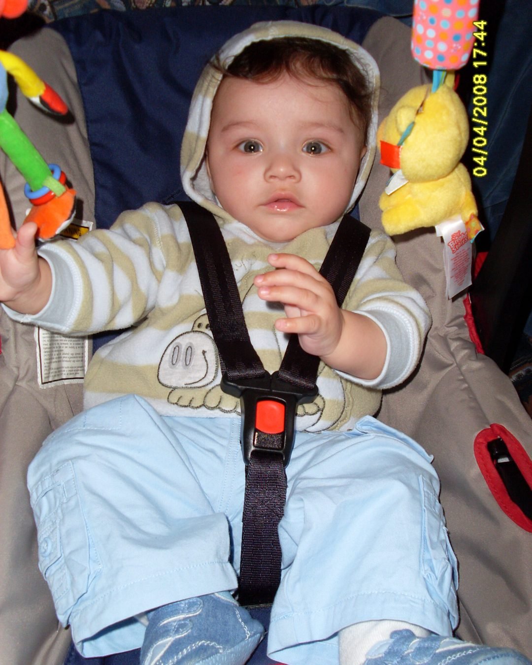 Andrew5 meses e meio 055