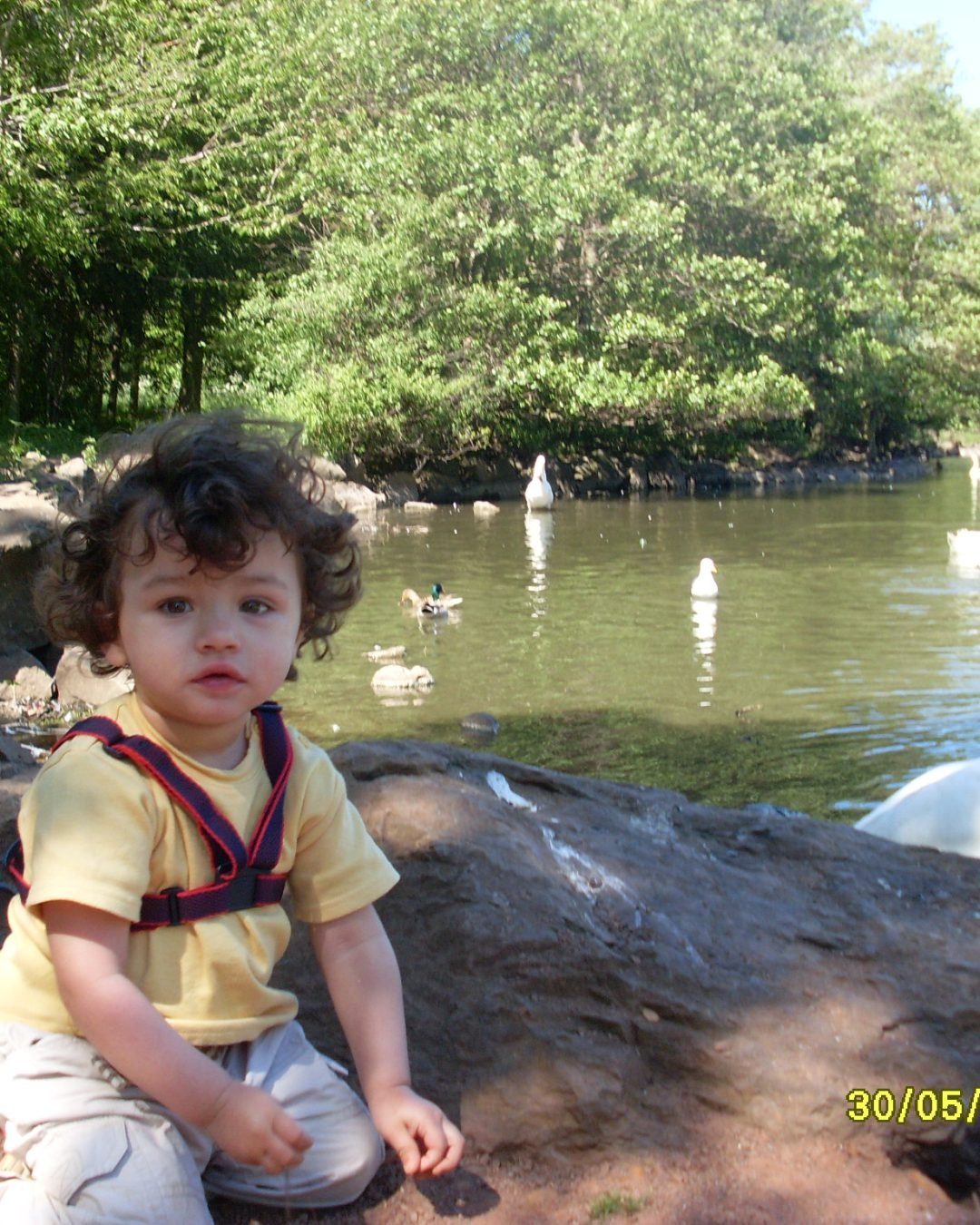 diversas fotos! 212
