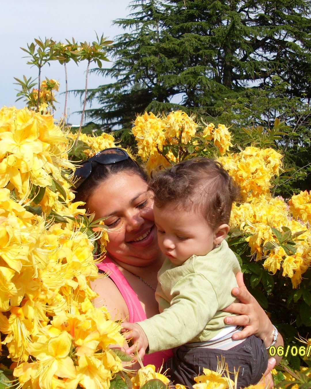 jardim botanico 069